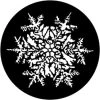 Vendor-unknown Snowflake