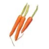 Vendor-unknown Carrot