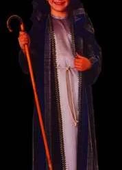 Rubies Newest Products Deluxe Child Shepherd Costume