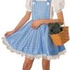 Rubies Deluxe Dorothy Child Costume (Oz) Newest Products