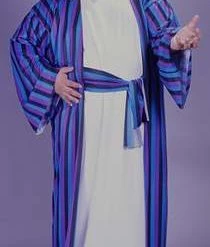 Fun World Plus Size Sheik Costume Newest Products