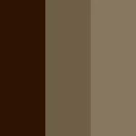 Vendor-unknown 5998 Super Saturated Van Dyke Brown 1 Vendor-unknown 5998 Super Saturated Van Dyke Brown