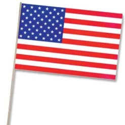 Vendor-unknown Patriotic American Flag (11x17) Plastic