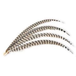 Vendor-unknown Zebra Tail Feather