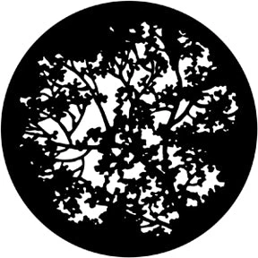 Vendor-unknown Newest Products Blossoms 1 Vendor-unknown Newest Products Blossoms