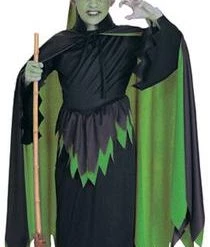 Rubies Newest Products Wicked Witch Of The West Childs Costume