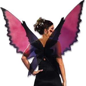 Vendor-unknown Eagle Wings 1 Vendor-unknown Eagle Wings