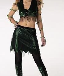 Disguise Imp Fairy Costume