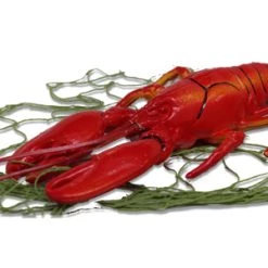 Vendor-unknown Birthday Realistic Lobster