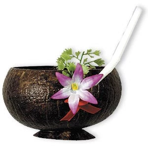 Vendor-unknown Decorations & Gifts Coconut Cup 1 Vendor-unknown Decorations & Gifts Coconut Cup