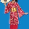 Disguise Geisha Girl Costume