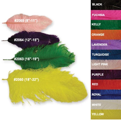 Zucker Feather Products Ostrich Plume 12-15 Feather Boas 1 Zucker Feather Products Ostrich Plume 12-15 Feather Boas