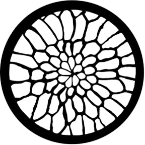 Vendor-unknown Soft Web 1 Vendor-unknown Soft Web