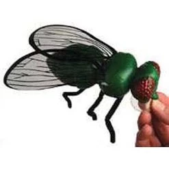 Vendor-unknown Enormous Fly