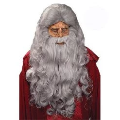 Vendor-unknown Moses/Sorcerer Wig & Beard Set