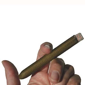 Vendor-unknown Newest Products Poker Stogie 1 Vendor-unknown Newest Products Poker Stogie