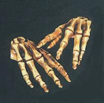 Theatre House Bones Fingers Hands (Natural) Newest Products