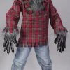Fun World Newest Products Silver Werewolf Child Costume