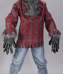 Fun World Newest Products Silver Werewolf Child Costume