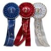 Vendor-unknown Place Rosette Ribbon