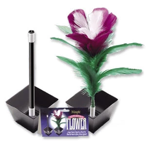 Vendor-unknown Appearing Flower 1 Vendor-unknown Appearing Flower