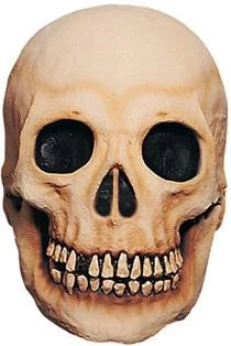 Mask Illusions Newest Products Large Deluxe Skull Prop 1 Mask Illusions Newest Products Large Deluxe Skull Prop