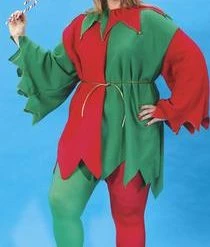Fun World Newest Products Plus Size Complete Elf Set