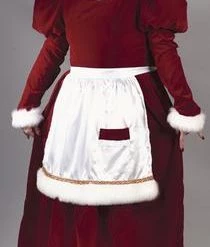 Fun World Newest Products Plus Size Velvet Mrs. Claus Costume