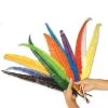 Vendor-unknown Cut Feather Spears Feather Boas