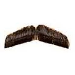 Vendor-unknown Dress Mustache Beards And Mustaches