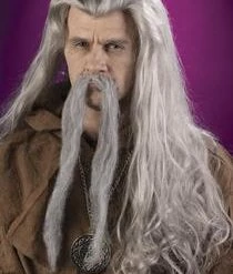 Fun World Grey Wizard Wig Newest Products