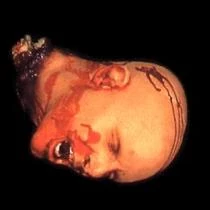 Don Post Studios Head Prop Newest Products