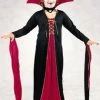 Fun World Newest Products Child Victorian Vampiress Costume