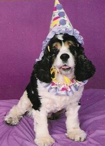 Fun World Newest Products Small Pet Costume - Clown 1 Fun World Newest Products Small Pet Costume - Clown