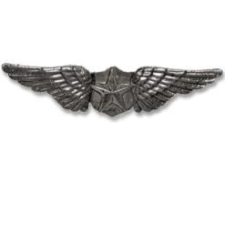 Vendor-unknown Jewelry Pilot Wings Pin