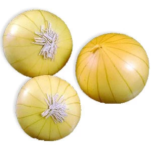 Vendor-unknown Food And Drink Yellow Onion 1 Vendor-unknown Food And Drink Yellow Onion