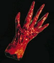 Cinema Secrets Latex Eaten Right Hand