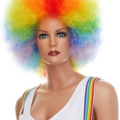 West Bay Clown / Afro Wig Newest Products