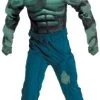Disguise Newest Products Deluxe Child Muscle Hulk Costume