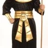 Forum Novelties Pharaoh Adult Costume (New) Newest Products