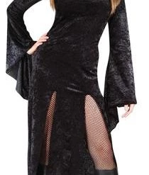 Fun World Sultry Sorceress Adult Costume Newest Products