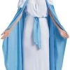 Fun World Adult Mary Costume
