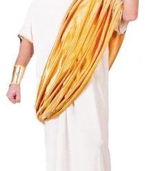 Fun World Newest Products Hail Caesar Adult Costume (Gold)