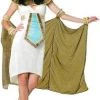 Fun World Queen Of The Nile Adult Costume Newest Products