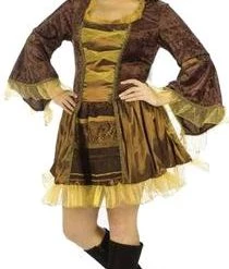 Fun World Plus Size Sassy Victorian Pirate