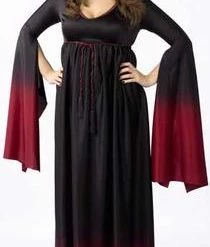Fun World Plus Size Vampiress Blood Costume
