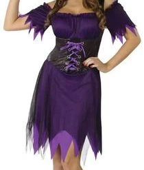 Fun World Newest Products Dark Witch Adult Costume