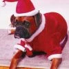 Fun World Newest Products Santa Pet Costume
