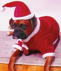 Fun World Newest Products Santa Pet Costume