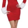 Fun World Santa Sweetie Adult Costume